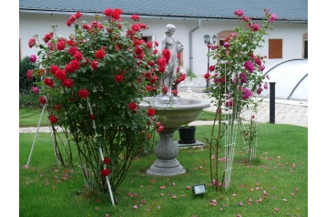 Casa rural Bříství 6